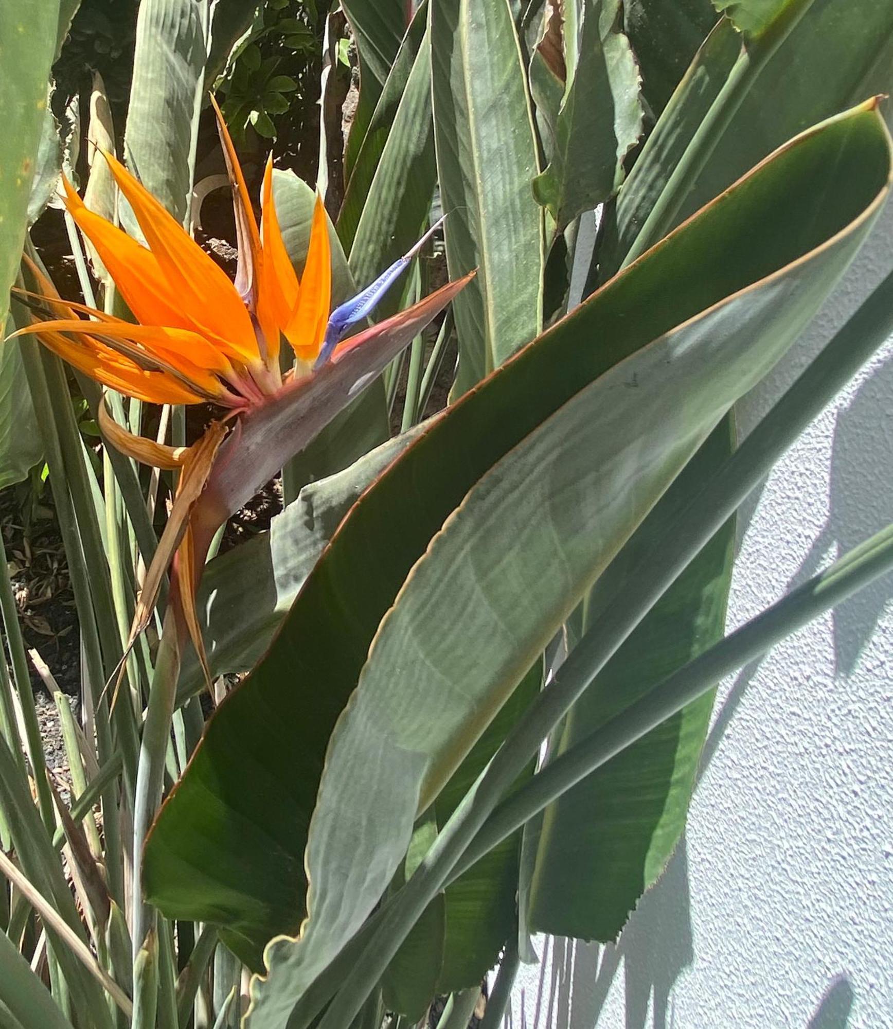 Casa Rosalia Dom wakacyjny Corralejo